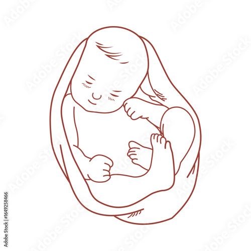 Minimalist Line Art of Sleeping Baby in Womb