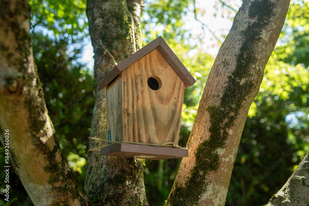 Wooden Birdhouse Hanging on Tree Wooden Birdhouse Hanging on Tree