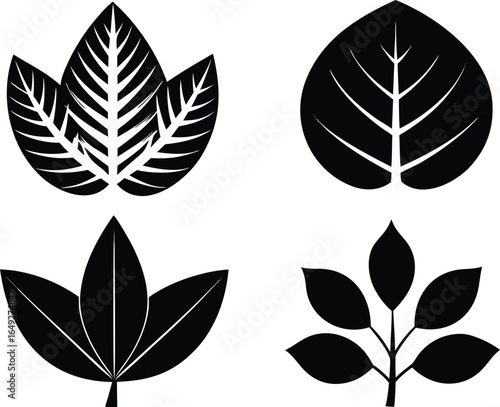 Minimalist black-and-white leaf set featuring four stylized botanical designs