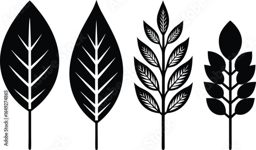 Minimalist black-and-white leaf set featuring four stylized botanical designs