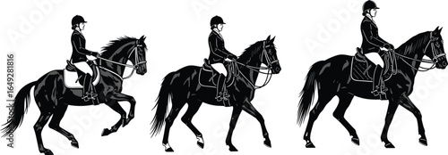 Horse riding silhouette, equestrian poses, rider on horse, black vector illustration, horseback movement, sport clipart, saddle graphic, horse gait icons