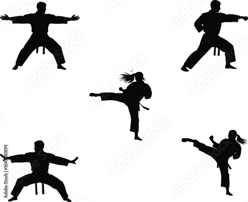  Karate silhouettes in action, martial arts kicks, dynamic poses, self-defense training, black and white contrast, karate discipline, powerful stances