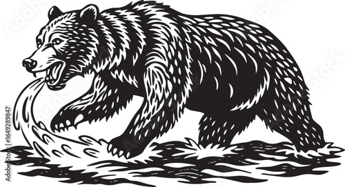 A wild brown grizzly bear mammal illustration is a sketch of a predator with a silhouette of its head