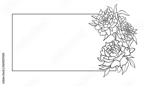 Peony border, continious line drawing. Spring frame, floral border outline. Vector illudstration