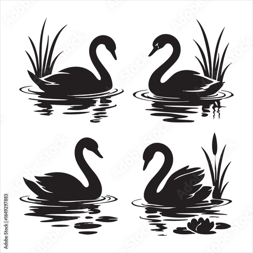 Black and white swan silhouette illustration set with water ripples, reeds, and lily graceful bird poses with reflections, ideal for nature-themed vector graphics, minimalist wildlife art