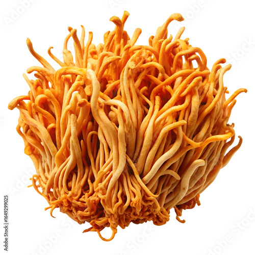 Wallpaper Mural Fresh cordyceps militaris in multiple directions isolated on white background herbal macro photography
 Torontodigital.ca