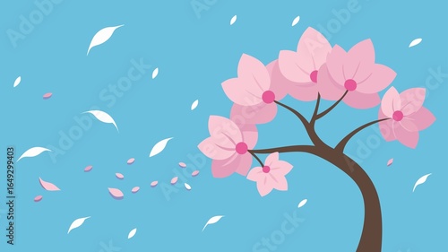 Cherry blossoms falling in spring breeze