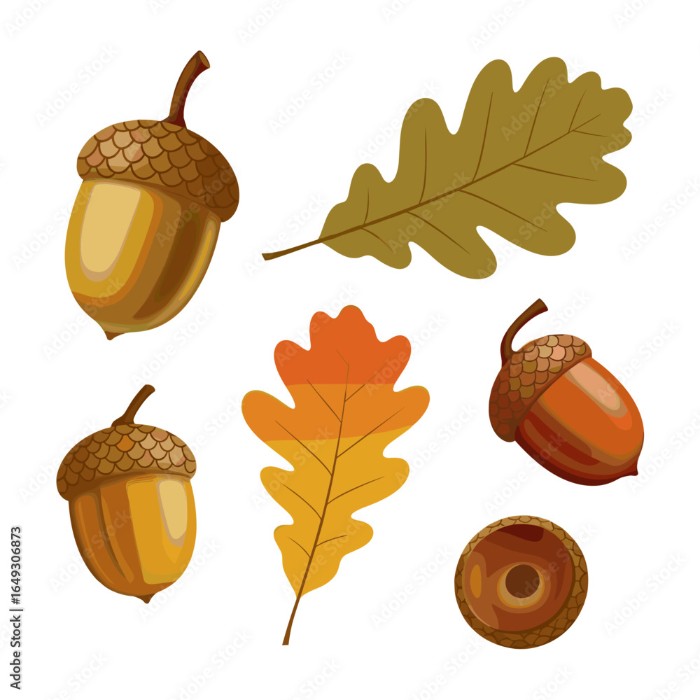custom made wallpaper toronto digitalCelebrate autumn harvest season with acorns and oak leaves for Thanksgiving and fall themes
