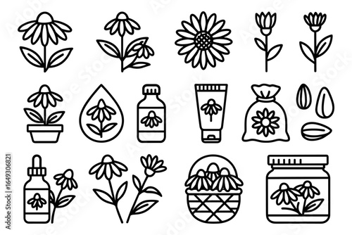Echinacea icons set: herbal remedies and flower outlines in linear style