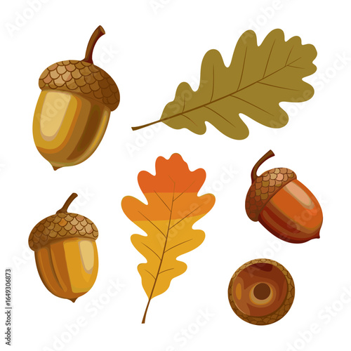 Celebrate autumn harvest season with acorns and oak leaves for Thanksgiving and fall themes