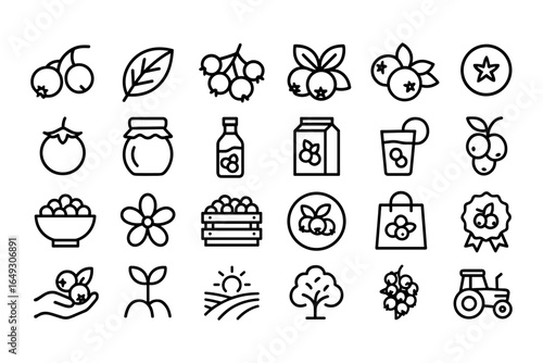 Minimalist berry icons set with agriculture and food elements