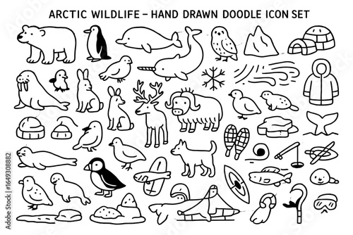 Arctic wildlife doodle set featuring animals, landscapes, and winter clothing icons