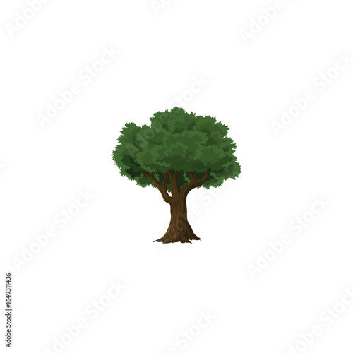Various tree vectors. Forest and nature concept. Collection of different tree symbols. Education and training poster design. Vector drawn for plant and tree presentation