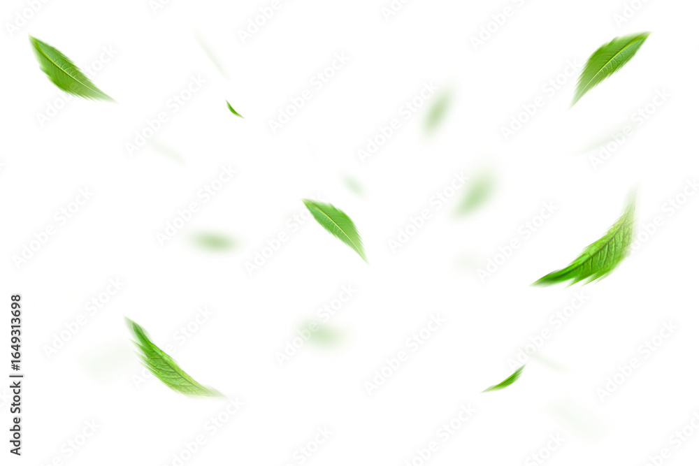 Green Floating Leaves Flying Leaves Green Leaf Dancing on transparent background png file Green Floating Leaves Flying Leaves Green Leaf Dancing on transparent background png file