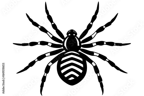 Creepy black arachnid on a white background, a symbol of fear and nature's wildlife
