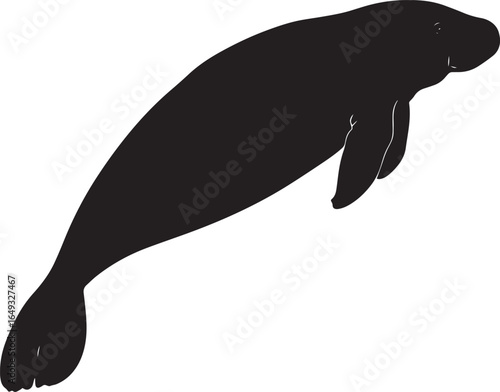 Manatee Observing Its Surroundings Body at rest with flippers extended outward, actively sensing the environment around it. Full-length silhouette black vector design.