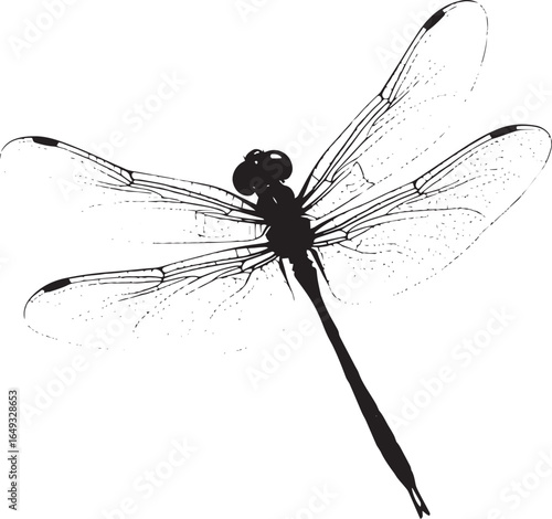 Dragonfly Darting Body moving quickly in short bursts, wings flapping rapidly, legs tucked in behind. full length silhouette black vector illustration