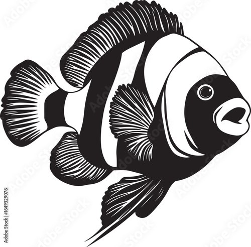 Clownfish Feeding Head lowered with mouth open, swimming close to the anemone or coral, body angled. full length silhouette black vector illustration