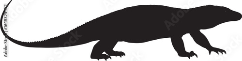 Komodo dragon strolling taking slow strides, legs spread, body low, and tail dragging behind in a full-length silhouette.