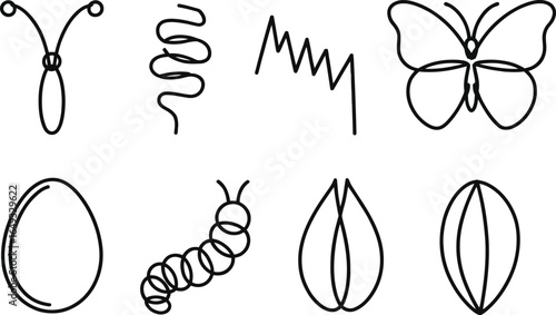 Butterfly Life Cycle Set Outlines Egg, Caterpillar, Pupa and Butterfly Isolated