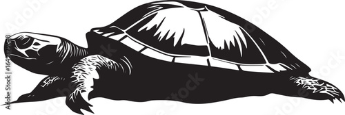 Turtle in retreat head and legs pulled into the shell, body retracted defensively in a full-length silhouette.