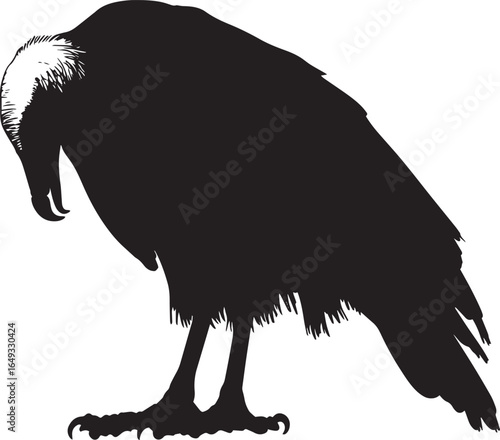 Vulture eating body bent forward, beak engaged with its meal, and wings slightly elevated in a black vector outline.