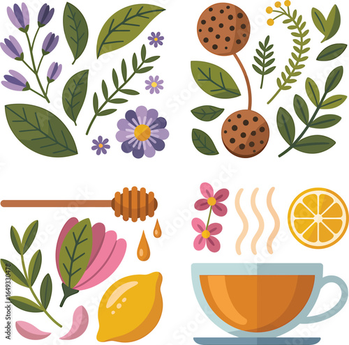 Herbal tea ingredients with leaves flowers honey and lemon, soothing wellness drink vector illustration