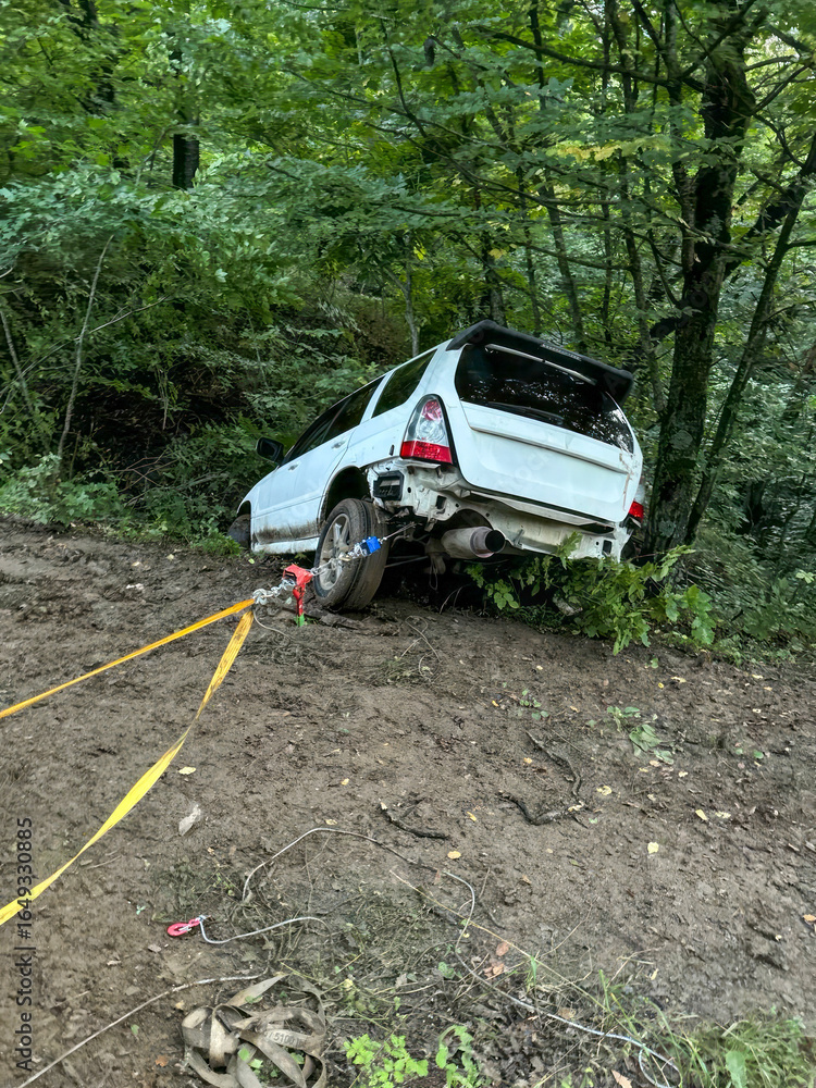 Crashed white car nestled in a lush, untamed forest evokes tranquility of National Forest Week and quirky roadside attraction tours Crashed white car nestled in a lush, untamed forest evokes tranquility of National Forest Week and quirky roadside attraction tours