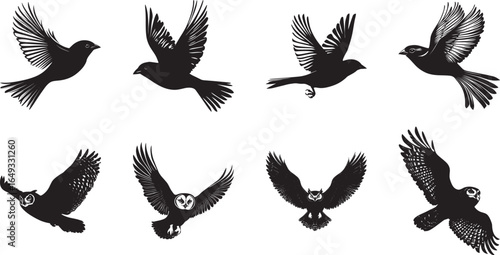 Sparrow Flapping Quick wing beats while hovering or preparing to take off. full length silhouette black vector illustration