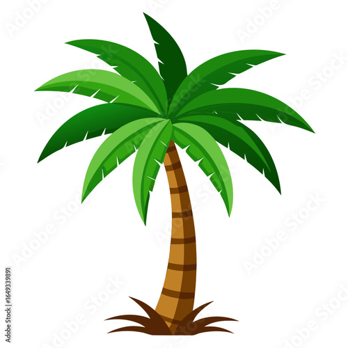 palm tree vector illustration