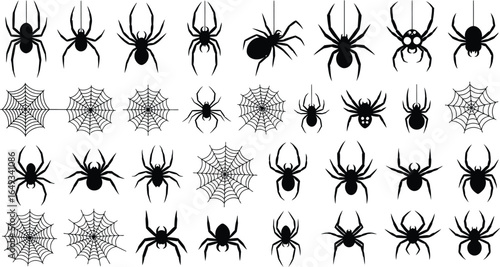 White spider silhouettes and webs on black background, halloween theme