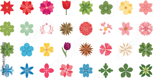 Colorful flower collection, various floral shapes and colors on white