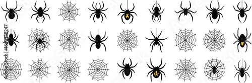 Spiders, Webs and Flowers on White and Black Backgrounds, Halloween