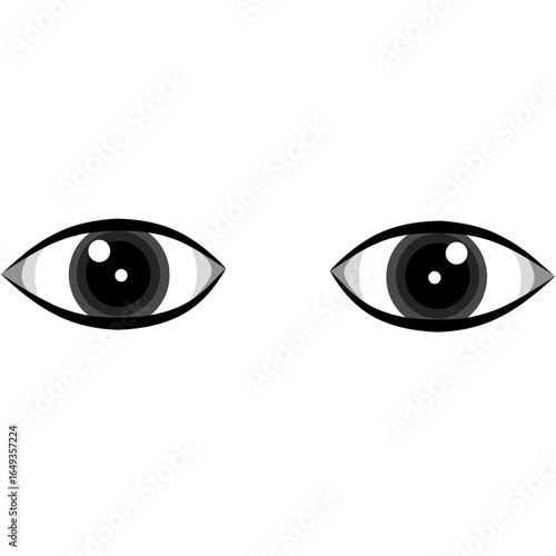 A pair of realistic human eyes with black pupils and irises against a white background
