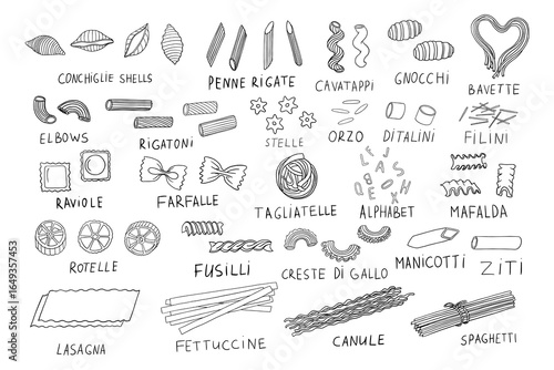 Large set of pasta theme. Pasta of different shapes. Italian Cuisine. Hand drawn.