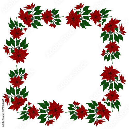 Beautiful red poinsettia flower, traditional Christmas plant symbol of the holiday season. Festive winter illustration greeting cards, invitations, decorations, posters, clipart