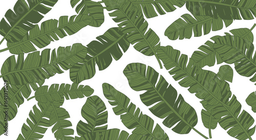 Green banana leaves, tropical foliage pattern VECTOR