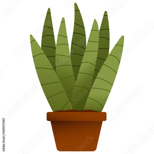 Snake plant in terracotta pot, flat illustration
