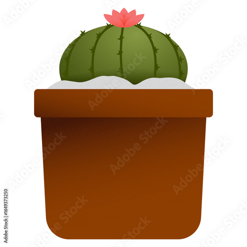 Round cactus with pink flower in terracotta pot, flat illustration
