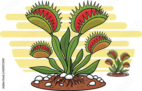 Cartoon Venus Flytrap on a Plant Base VECTOR