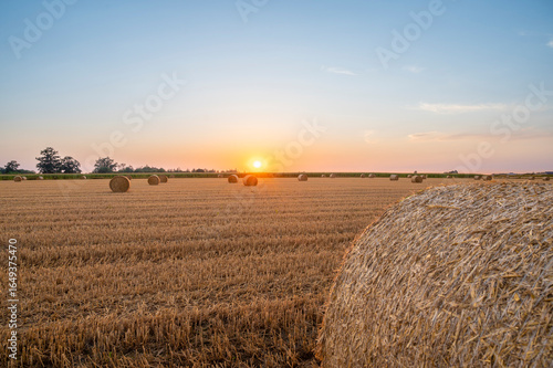 Susnset on field after harvest XI