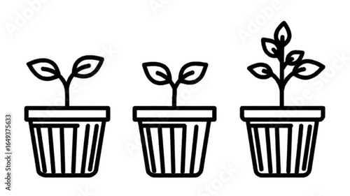 Linear progression of potted plant growth stages, from small sprout to thriving young foliage, illustrating agricultural development and gardening.