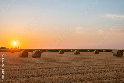 Susnset on field after harvest V