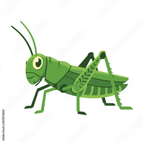 Grasshopper cartoon character isolated on a white background