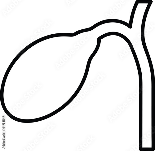 gallbladder outline icon