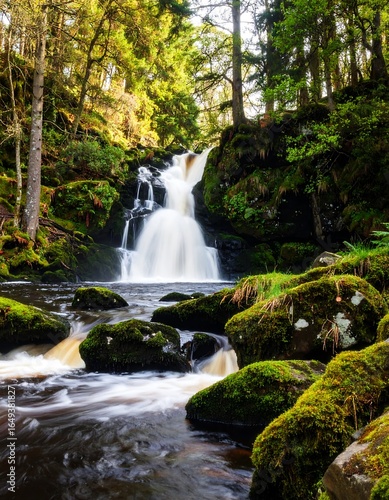 Cascading waterfall in lush forest (1)
