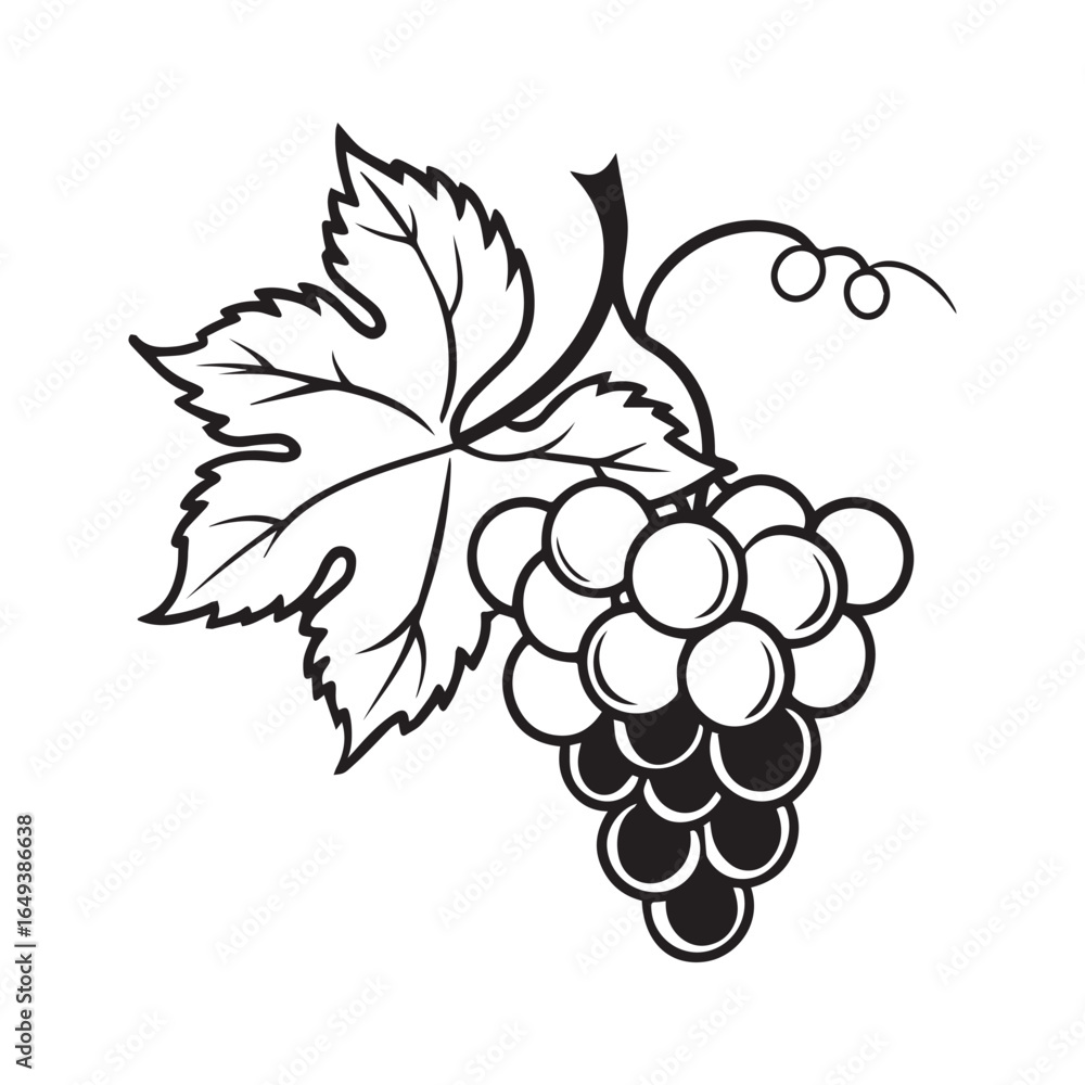 Fototapeta premium bunch of grapes vector