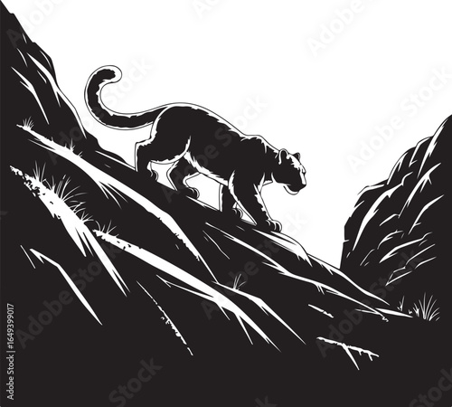 Powerful panther stalks mountain terrain with stealth and grace