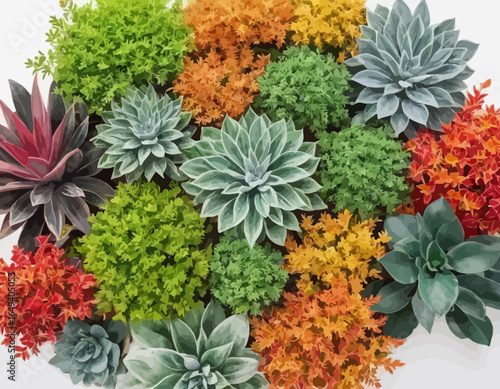 Multi Color Plant vector, Attractive color selection (1)