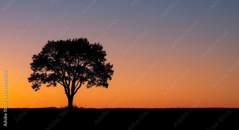 Majestic tree silhouette against golden sunset horizon creating serene landscape composition ideal for meditation and wellness content Majestic tree silhouette against golden sunset horizon creating serene landscape composition ideal for meditation and wellness content